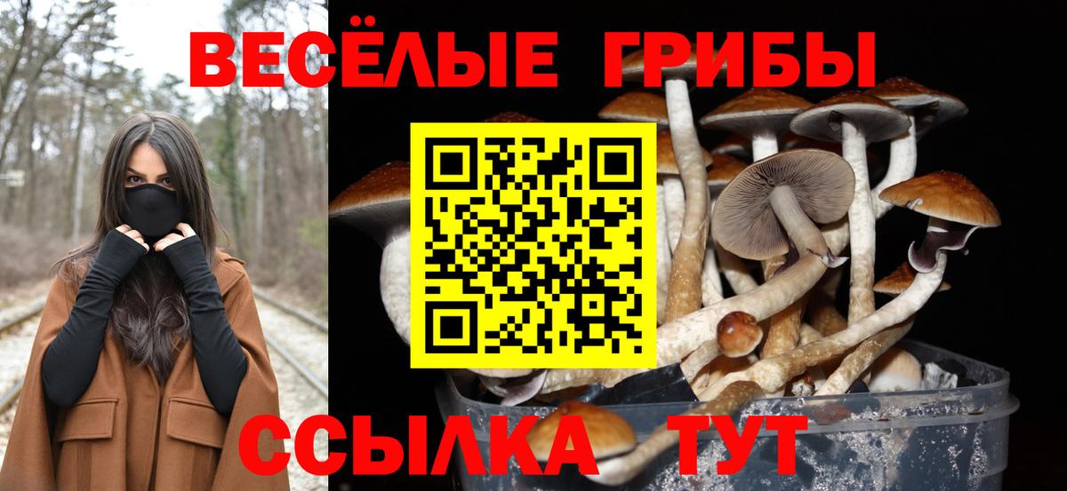 Камень-на-Оби  Галлюциногенные грибы мухоморы  Вход с VPN 
